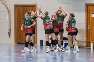 Bild 179 - F HSG Kremperheide/Muensterdorf - HSG Holstein Kiel/Kronshagen : Ergebnis: 31:26